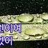너무나 가슴시린 노래모음