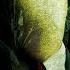 360 Slender Man