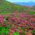 Romantic Ballade Dmitry Metlitsky Lyrical New Age Music