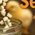 This Water Mix Healed My Sick Chicks In 24 Hours Aloe Vera Garlic