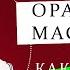 Ораторское искусство риторика УЛУЧШИТЬ ДИКЦИЮ ЗА 4 МИНУТЫ Упражнения АРТИКУЛЯЦИЯ Часть 2