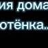 КОТЫ ВОИТЕЛИ Трейлер к 1 2 3 4 циклам