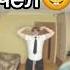 человек яйца