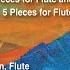 Flute Concerto No 2 Op 148b II Largo