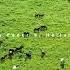 Beautiful Relaxing Duduk Music In The Caucasus Mountains