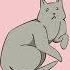 SQUISH THAT CAT Animated Animation Cat Cats Animals Art Kitten Cute Rough Squish