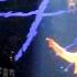 Rammstein Wiener Blut The Forum