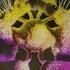 Th En Carlo Whale Fragments Of Light Extended Mix Captive Soul