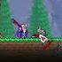 How Ducks Broke Terraria