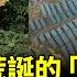 中共掀起 光伏下田 荒誕土地革命 百姓挨餓的日子又要來了