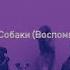 Атмосфера Собаки