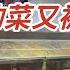 哈尔滨疫情升级 多多和美团买菜也停滞了 菜库封闭开始了新一轮抢菜大战