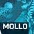 MicRoCheep Mollo Vs Sasho Derama Fake Words