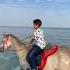 خيـل وبحر