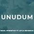 Unudum Feat Leyla Rehimova