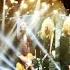 DEF LEPPARD HITS CANADA EDMONTON LIVE IN HD 2019