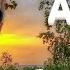 Шикарный трек Валерий Авдеев Летний вечер Valery Avdeev Summer Evening