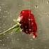 Adham Nabulsi Khayef Remix Mimusic