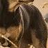 A DOG S WAY HOME International Trailer