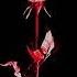 Enjoy The Silence Extended Version Depeche Mode Depechemode Violator