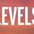 Avicii Levels Lyrics