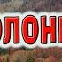 Гурт Каприз Полонинська Закарпатські коломийки давня коломийка