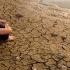 Water Scarce Jordan Carries Out Restoration Projects WION Climate Tracker World News