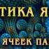 Практика ЯАЭЛЬ Освобождение ячеек памяти сущности