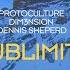 Protoculture DIM3NSION Dennis Sheperd Sublimity Black Hole