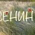 Есенин Спит ковыль Стихотворение Исполняет Павел Конышев