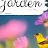 ADVANCED ENGLISH STORY My Spring Garden C1 C2 Level 7 8 English Listening Reading Practice