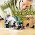 Эти изобретения появились благодаря женщинам Часть 1