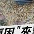 通膨 疫情 戰爭 出口夾擊 全球糧食危機加劇 TVBS說新聞 20220727