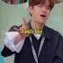 Stray Kids Fam