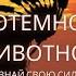 Тотемное животное Как узнать свой тотем