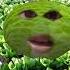 Cabbage Song Viral