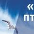 Трек Белая птица