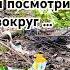 Остановись и посмотри вокруг