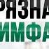ТОП 5 убийц вашей ЛИМФЫ Как быстро распознать проблемы с лимфой