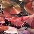 Sacred Wild Powerwolf Short Drumjam
