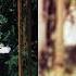 Create A Wedding Photoshop Action