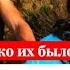 Видавшие виды весты Женский пробег