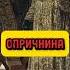 ОПРИЧНИНА история историяроссии царскаяроссия ивангрозный