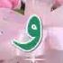 كل سنة وانت طيب يا غالي