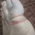 Karet Gelang Sakti Short Ytshort
