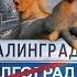 Валерий Викторович Пякин Вопрос Ответ от 05 мая 2025 г