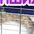 Знакомство и ссаживание шиншилл однополых и разнополых Как ссадить шиншилл Шиншиллы дерутся