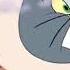 Tom And Jerry Tales Body Helium Inflation