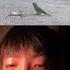 This Is So Sad For The Birds Shorts