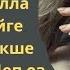 Мені өзегімнен итерген тауқыметі көп тағдырым